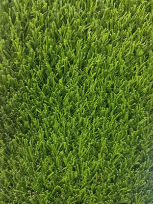 25mm Non-Infill Green Artificial Grass PP+PP Backing PE Material Sedikit Pasir Dibutuhkan Lubang Drainase Lapangan Sepak Bola Stadion Tidak Perlu Karet