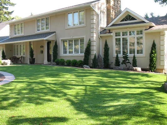 20mm Tinggi Tumpukan Artificial LLandscape Grass dipasang pada setiap kesempatan dengan SBR Lateks Backing
