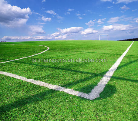 Sertifikat FIFA 55mm Tinggi Tumpukan Tumpukan Tumpukan Buatan Densitas Tinggi untuk Lapangan Sepak Bola dengan Perawatan Rendah