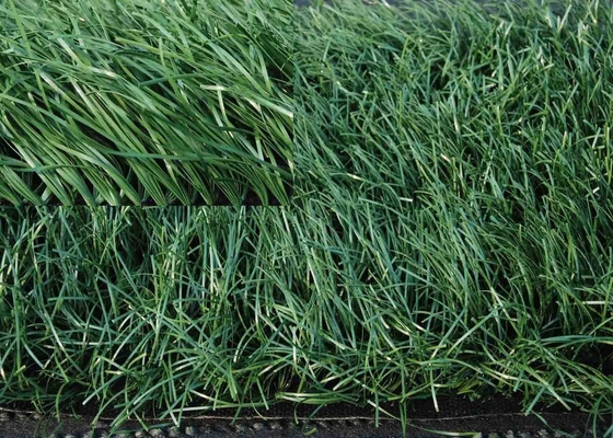 60mm Balkon Rumput sintetis 140 jahitan / M hijau Rumput palsu dengan 5/8 'Gauge
