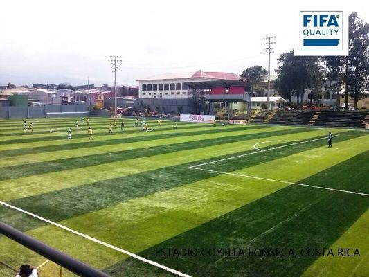 Sertifikat FIFA 55mm Tinggi Tumpukan Tumpukan Tumpukan Buatan Densitas Tinggi untuk Lapangan Sepak Bola dengan Perawatan Rendah