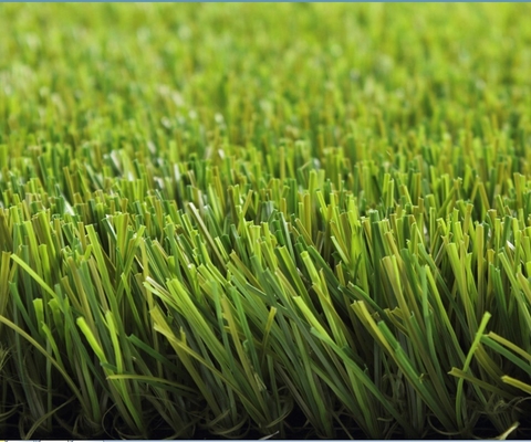 CPP + PP Dukungan 5/8 Gaage rumput buatan Dalam warna yang berbeda dari 8 tahun Jaminan rumput palsu
