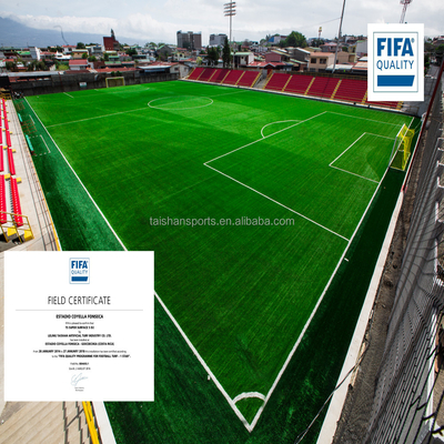 Green Football Artificial Turf 5/8 " Gauge Dengan PP + LENO Backing Dan SBR Lateks Lapisan Adhesive