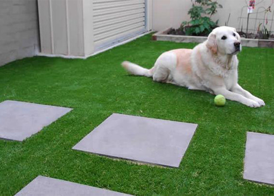 50mm Leisure Artificial Turf Flat Yarn Wear-Resistant Permeabilitas Tinggi Perlindungan Lingkungan