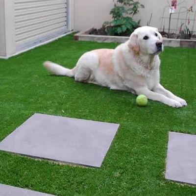 Rumput Sintetis 35mm Tinggi Tumpukan 9600 Dtex Lanskap untuk Aktivitas Luar Ruangan untuk Grosir dan Distributor