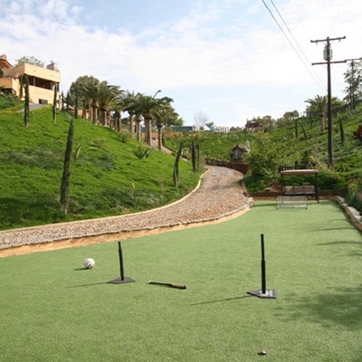48mm Landscape Renang Hijau Buatan Tanah Liar Ketumpatan Tinggi Dtex Tinggi Low Maintenance Realistis Penampilan