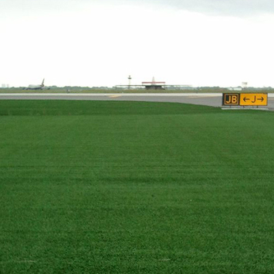 Tanah rumput buatan lurus ditambah melengkung tanpa isian 43mm Low Maintenance Wear Resistant Permeabilitas tinggi