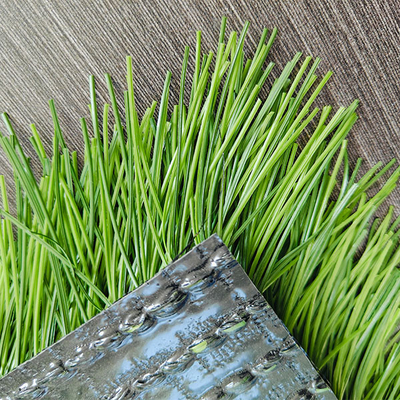 Dtex 17000 Low Maintenance Customizable Green Artificial Football Turf Untuk Kegiatan Luar Ruangan