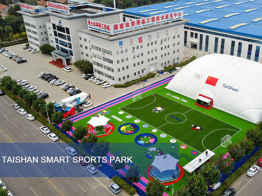 FIFA Dan FIH Sertifikat ganda Sepakbola Artificial Turf Dan Landscape Synthetic Turf Produsen Dan Pemasok
