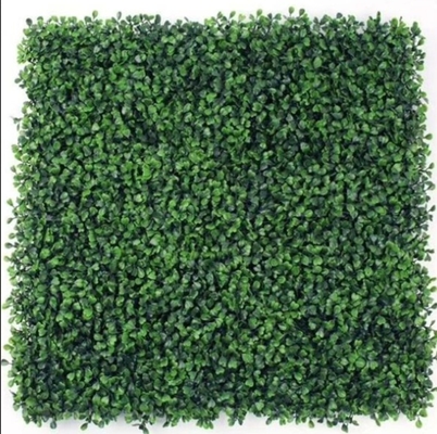 50cm*50cm Ukuran Rumput Tembok Buatan Tahan UV awet tahan lama Daya tarik estetika