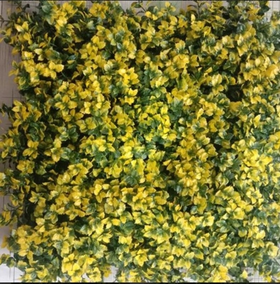 Panel rumput dinding yang dapat digunakan kembali untuk perbaikan estetika ramah lingkungan di rumah dan kantor