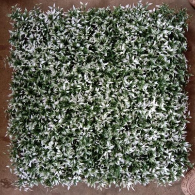 Rumput dinding buatan untuk meningkatkan estetika bangunan Anda dengan ukuran 50cm * 50cm Solusi eksterior yang sempurna