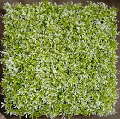 Bahan PE dari rumput dinding buatan yang dapat disesuaikan untuk mencegah debu dan kotoran di ruang dalam dan luar ruangan