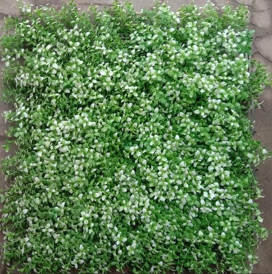 Tahan sinar UV Rumput dinding buatan dengan pemeliharaan rendah untuk ruang tamu yang indah dan nyaman dengan bentuk persegi