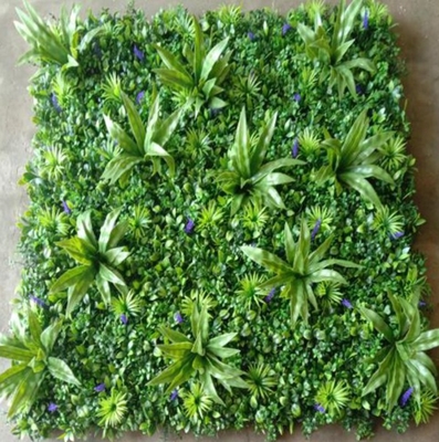 Tekstur Lembut Elastis Tembok Buatan Rumput Authentic Natural Lihat Sempurna Penampilan rapi