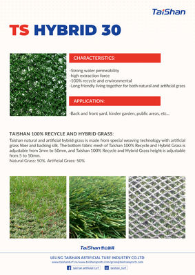 Karpet rumput buatan hibrida dengan ketinggian tumpukan 25 mm dengan ketahanan haus yang sangat tinggi untuk penataan campuran dengan rumput alami