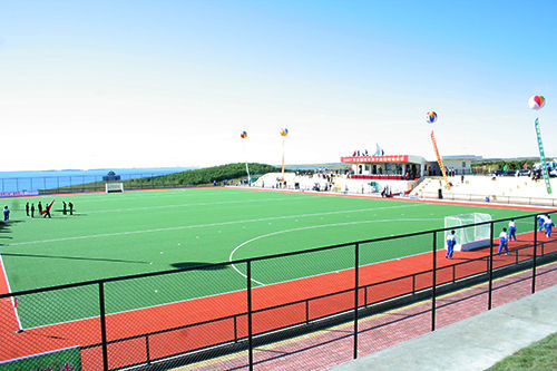 Tinggi Densitas Olahraga Artificial Grass 18mm Golf Hockey Padel Turf PP Bahan PU Backing Besar UV Resistance