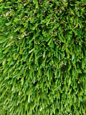 Non-Infill Green Artificial Grass Transparent Latex 30mm PE & PP material Little Sand Dibutuhkan lubang drainase