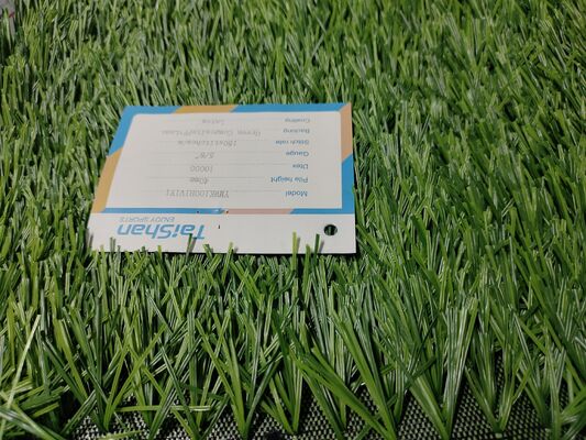 Rumput buatan sepak bola Dtex tinggi dengan permeabilitas tinggi untuk lapangan profesional dan amatir untuk grosir dan distributor