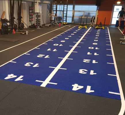 16mm Pile Height Sled Turf dengan Pola Warna Disesuaikan dan Resistensi UV untuk Gym Fitness