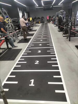 Rumput Sintetis Kepadatan Tinggi untuk Olahraga HYROX & SLED dengan Logo yang Dapat Disesuaikan dan Perawatan Mudah