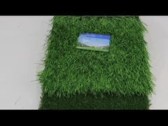 Rumput Sintetis Sepak Bola