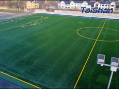 Lapangan Sepak Bola bersertifikat FIFA
