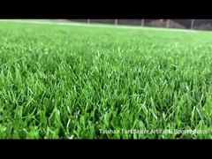 Proyek baru Taishan Belize Artiifical Sports turf