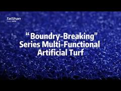 Rumput Buatan Multi-Fungsional Seri Pendobrak Batas