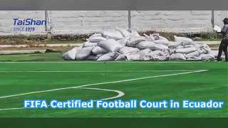 Lapangan Sepak Bola Bersertifikat FIFA yang Baru Dipasang di Kepulauan Galápagos, Ekuador