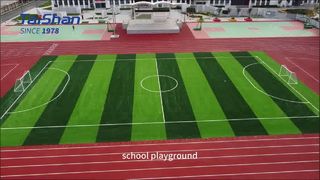 Penyedia Produk dan Layanan Rumput Buatan Taishan